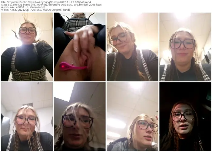 2025/11/22/stripchat-wildyoungnhorny-07-03-48