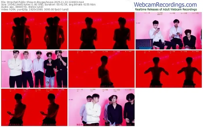 2025/11/22/stripchat-boygayhouse-12-46-03