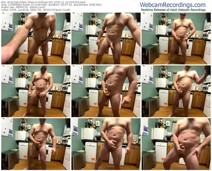 2025/11/22/stripchat-dilfcam101-06-53-54