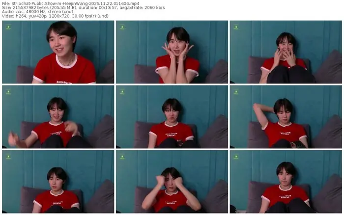 2025/11/22/stripchat-heejinwang-01-16-06