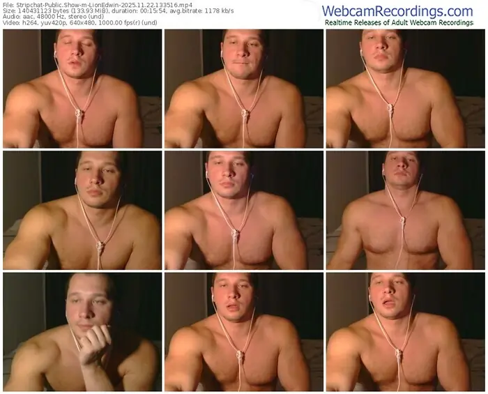2025/11/22/stripchat-lionedwin-13-35-16