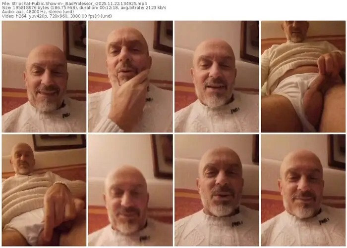 2025/11/22/stripchat-_badprofessor_-13-49-25