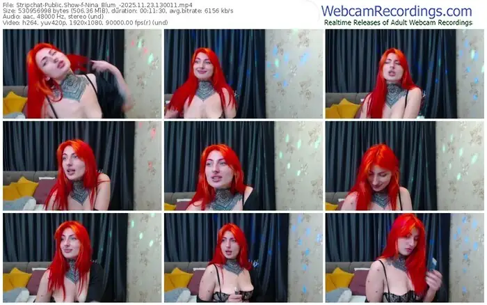 2025/11/23/stripchat-nina_blum_-13-00-11