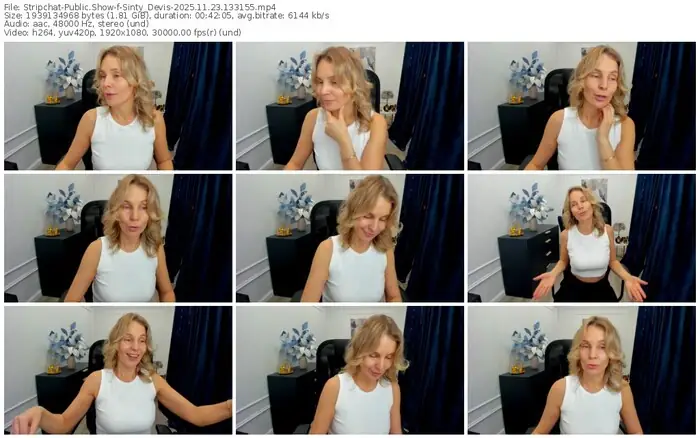 2025/11/23/stripchat-sinty_devis-13-31-55