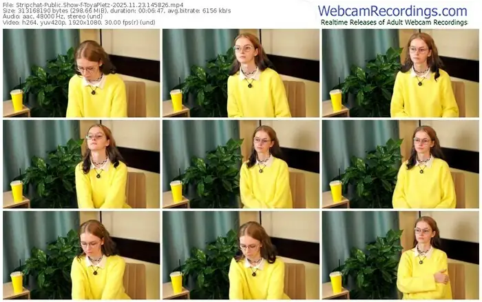 2025/11/23/stripchat-toyapletz-14-58-26