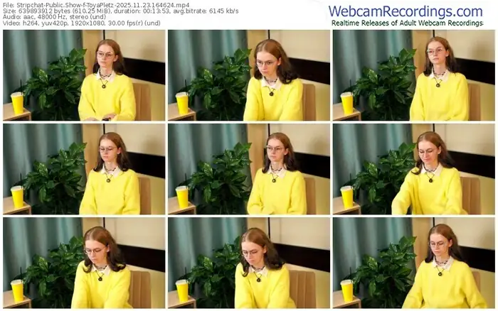 2025/11/23/stripchat-toyapletz-16-46-24
