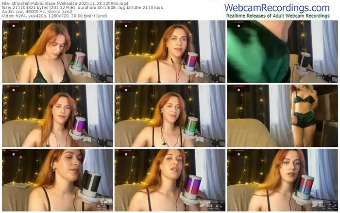 2025/11/23/stripchat-veksal1a-12-59-55