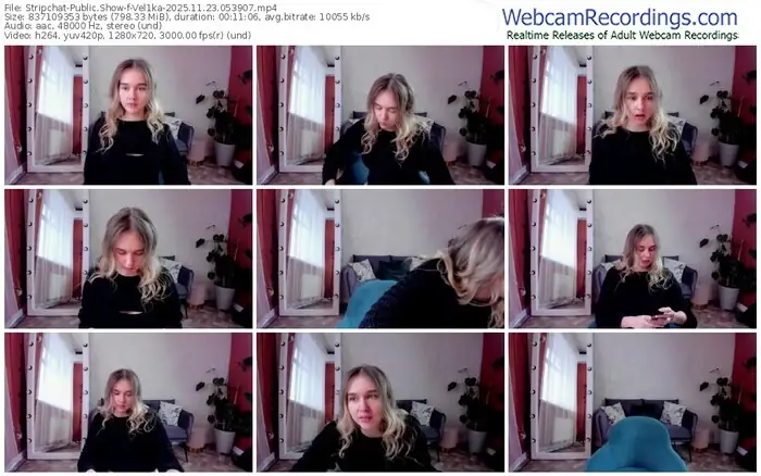 2025/11/23/stripchat-vel1ka-05-39-07