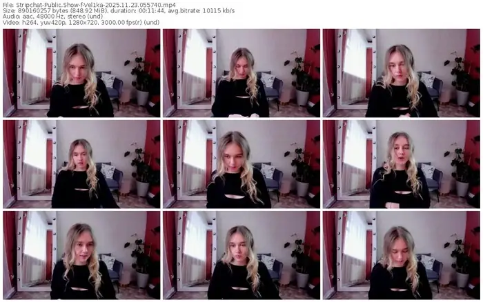 2025/11/23/stripchat-vel1ka-05-57-40