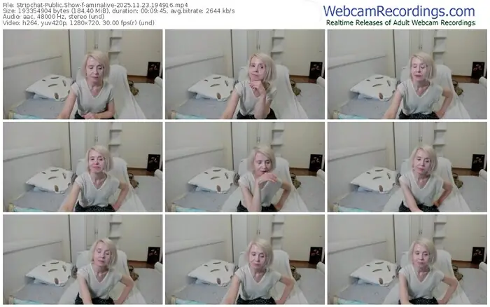 2025/11/23/stripchat-aminalive-19-49-16