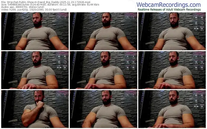 2025/11/23/stripchat-david_big_daddy-17-29-26