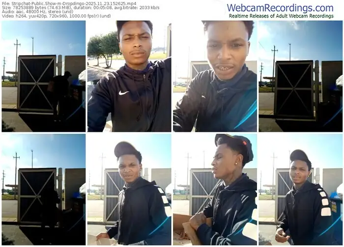 2025/11/23/stripchat-dropdingo-15-26-25