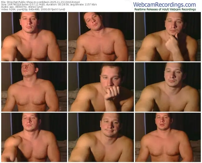 2025/11/23/stripchat-lionedwin-10-02-18