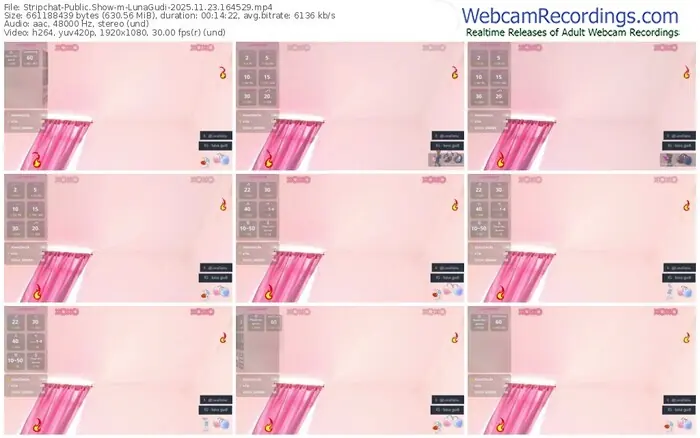 2025/11/23/stripchat-lunagudi-16-45-29