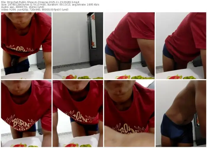 2025/11/23/stripchat-zinexraj-09-28-13