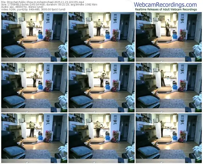 2025/11/23/stripchat-mihaimichael-22-11-55