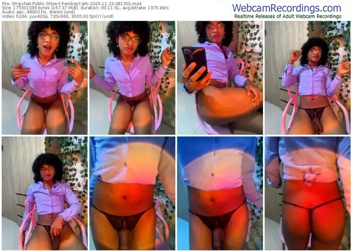 2025/11/23/stripchat-femboycarti-08-13-02