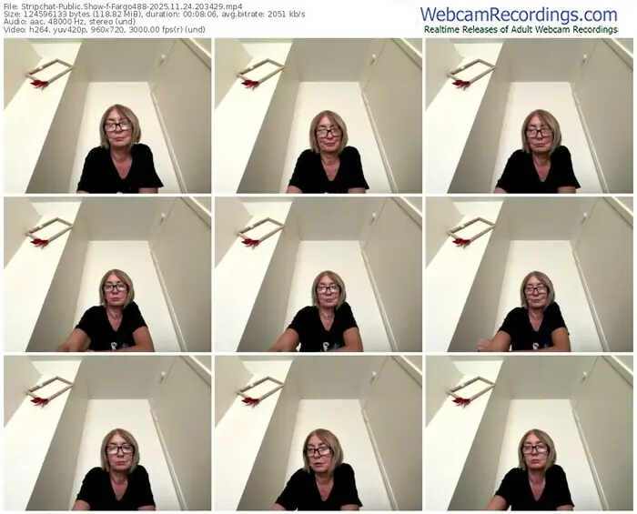 2025/11/24/stripchat-fargo488-20-34-29