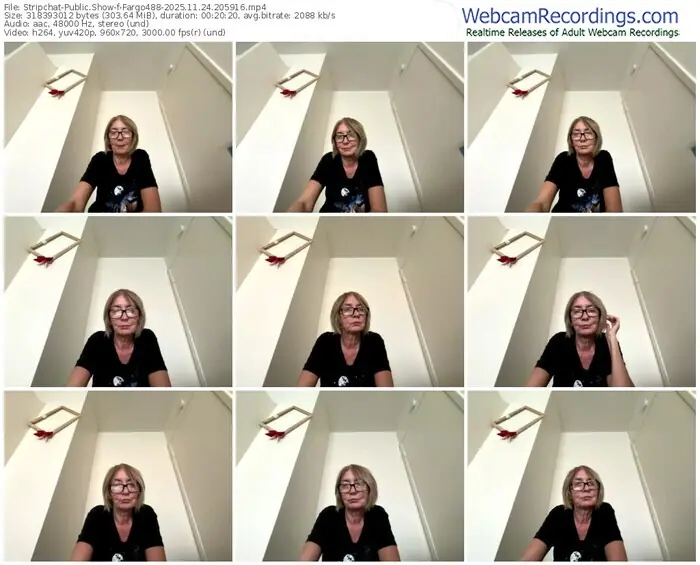 2025/11/24/stripchat-fargo488-20-59-16