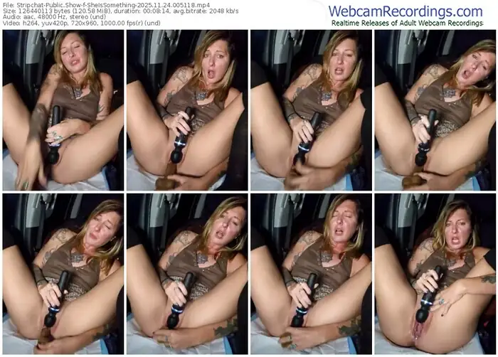 2025/11/24/stripchat-sheissomething-00-51-18