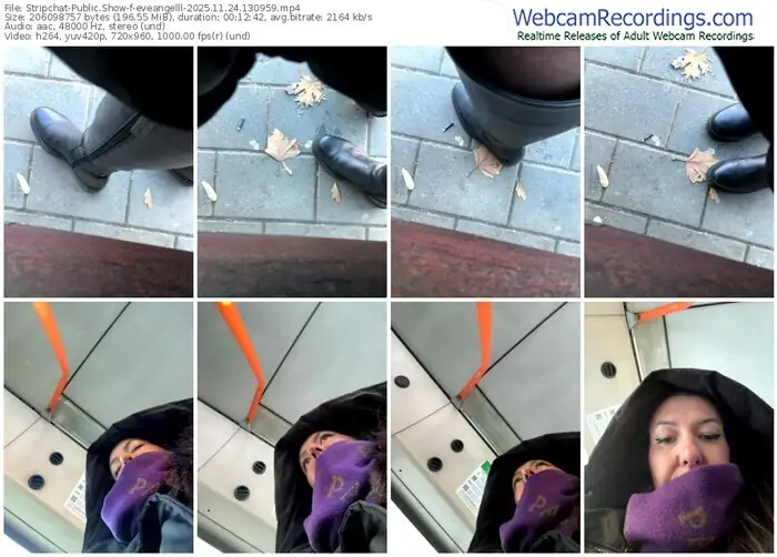 2025/11/24/stripchat-eveangelll-13-09-59