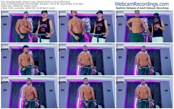 2025/11/24/stripchat-iam_steven-15-38-59