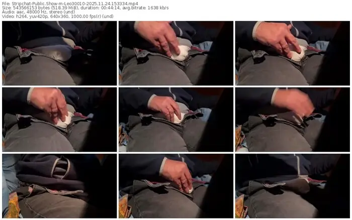 2025/11/24/stripchat-leo30010-15-33-34