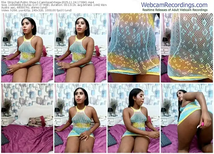 2025/11/24/stripchat-camilosaortega-17-38-41