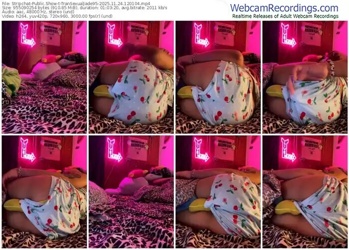 2025/11/24/stripchat-transexualjade95-12-01-04