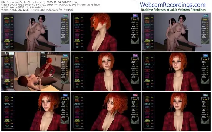 2025/11/24/stripchat-xtwins-20-40-55