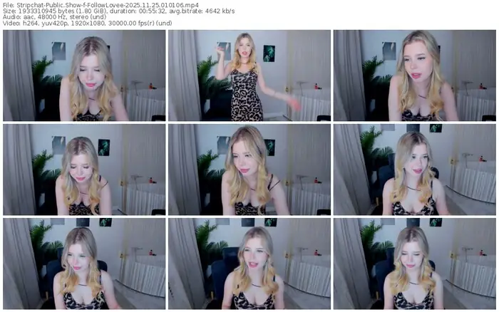 2025/11/25/stripchat-followlovee-01-01-06