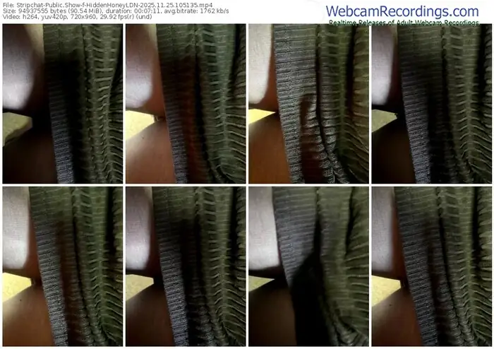 2025/11/25/stripchat-hiddenhoneyldn-10-51-35