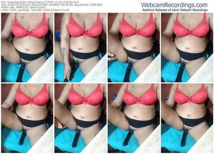 2025/11/25/stripchat-ninus7-11-51-22