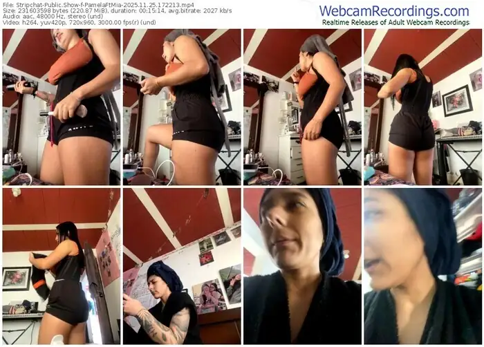 2025/11/25/stripchat-pamelaftmia-17-22-13