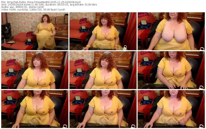 2025/11/25/stripchat-rosered69-02-02-08