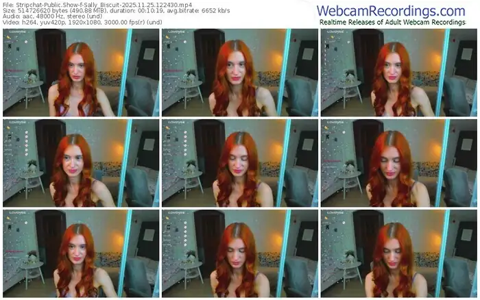 2025/11/25/stripchat-sally_biscuit-12-24-30