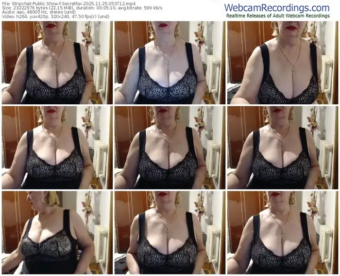 2025/11/25/stripchat-secretfox-05-37-12