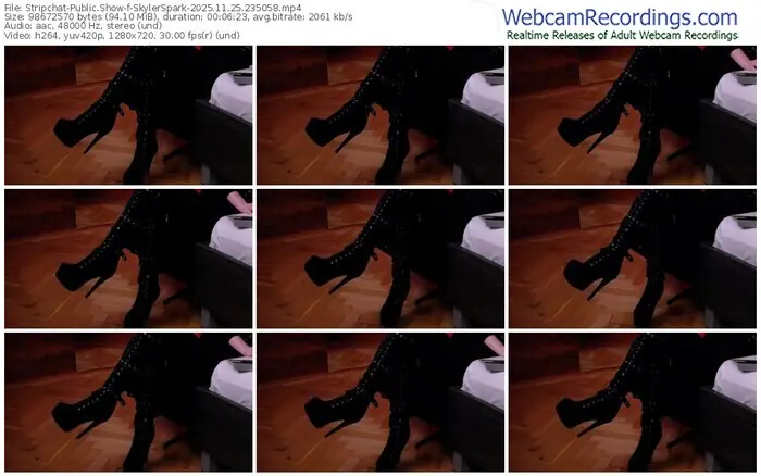 2025/11/25/stripchat-skylerspark-23-50-58