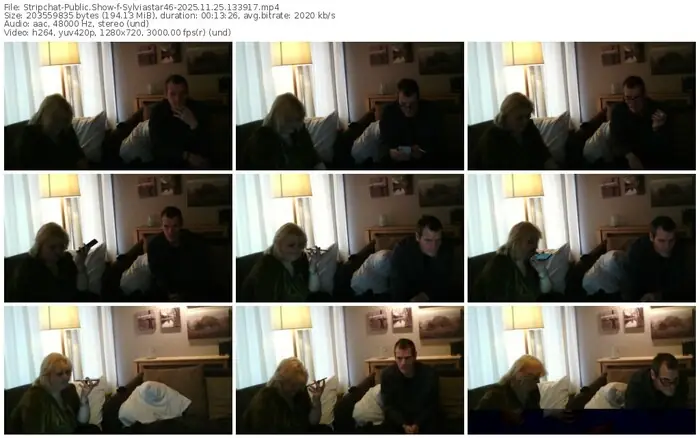 2025/11/25/stripchat-sylviastar46-13-39-17