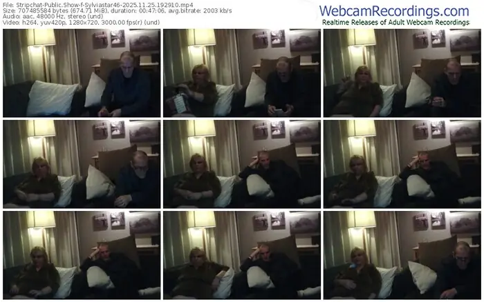 2025/11/25/stripchat-sylviastar46-19-29-10