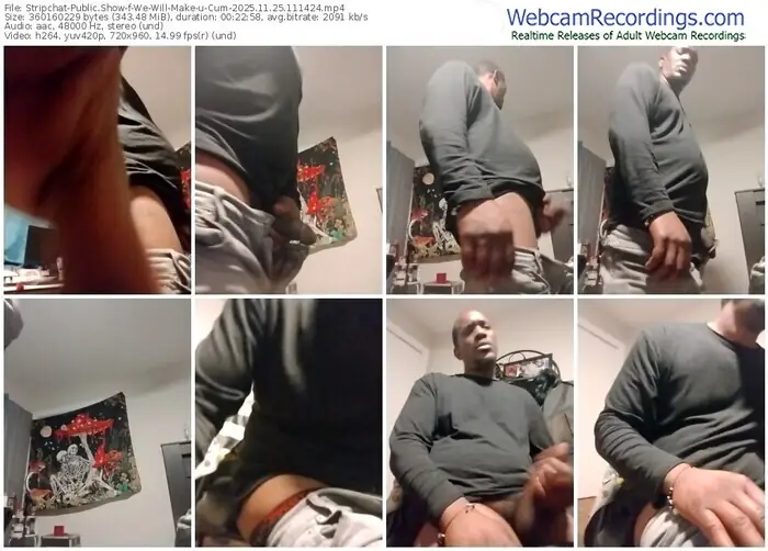 2025/11/25/stripchat-we-will-make-u-cum-11-14-24
