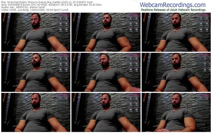 2025/11/25/stripchat-david_big_daddy-03-44-57