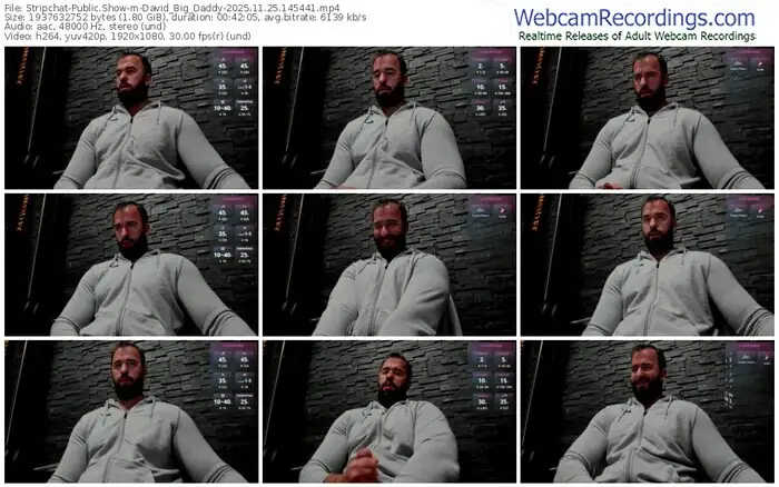 2025/11/25/stripchat-david_big_daddy-14-54-41