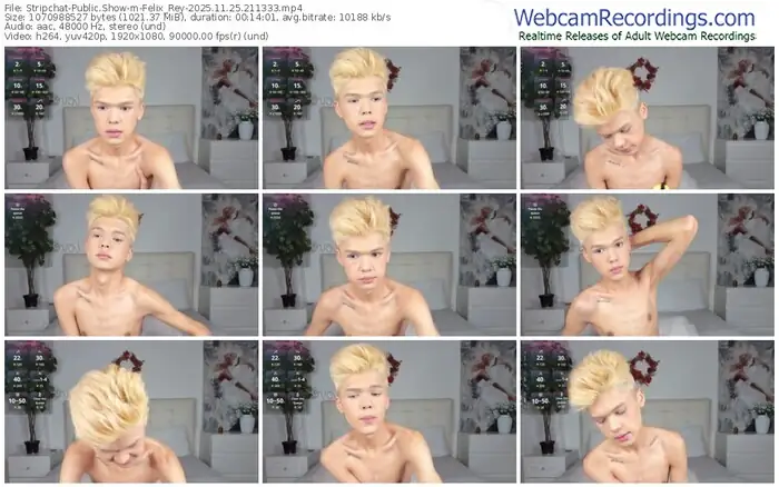 2025/11/25/stripchat-felix_rey-21-13-33