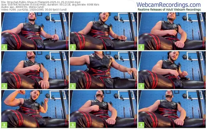 2025/11/25/stripchat-theian26-21-32-42