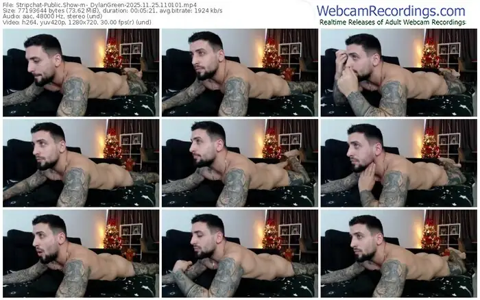 2025/11/25/stripchat-_dylangreen-11-01-01