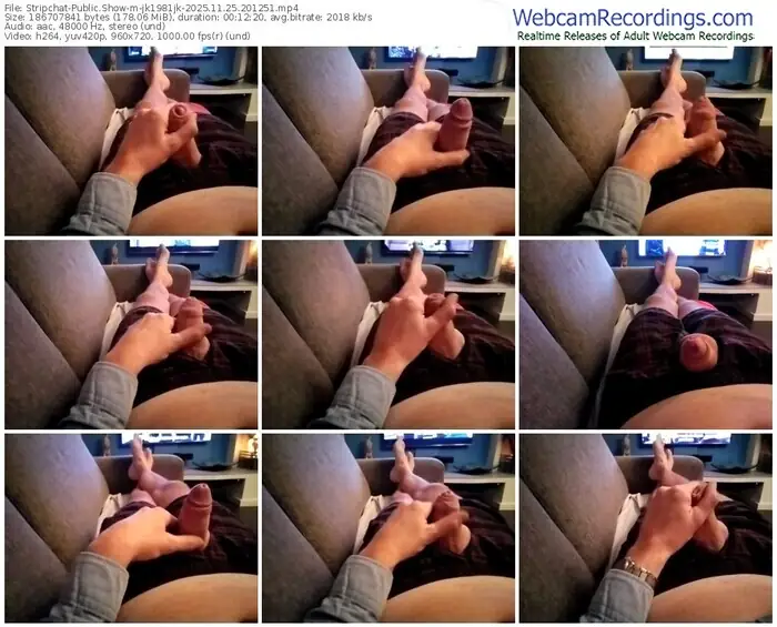 2025/11/25/stripchat-jk1981jk-20-12-51