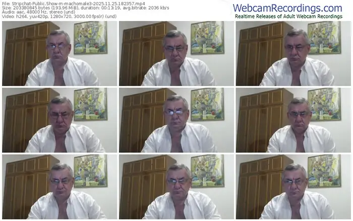 2025/11/25/stripchat-machomale3-18-23-57