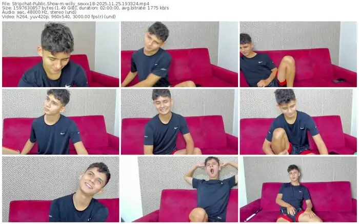 2025/11/25/stripchat-willy_sexxx18-19-33-24