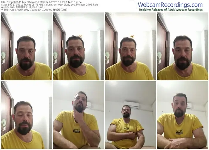 2025/11/25/stripchat-zefside42-14-41-10